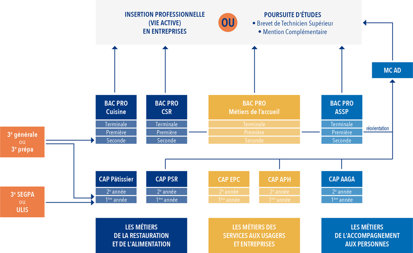 lycee-maryse-bastie-hayange-organigramme-formations